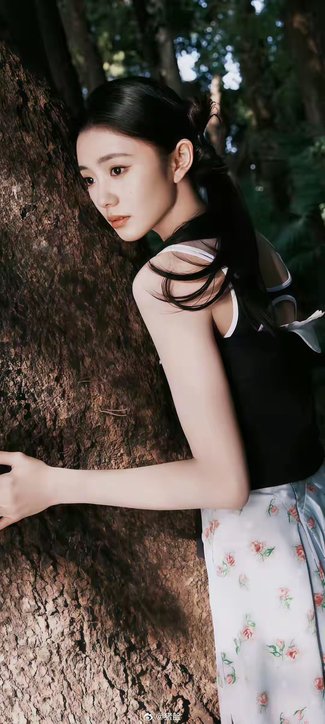 一辈子很短，不知不觉丢了童年，无声无息没了青年，莫名其妙进了中年，无可奈何到了老