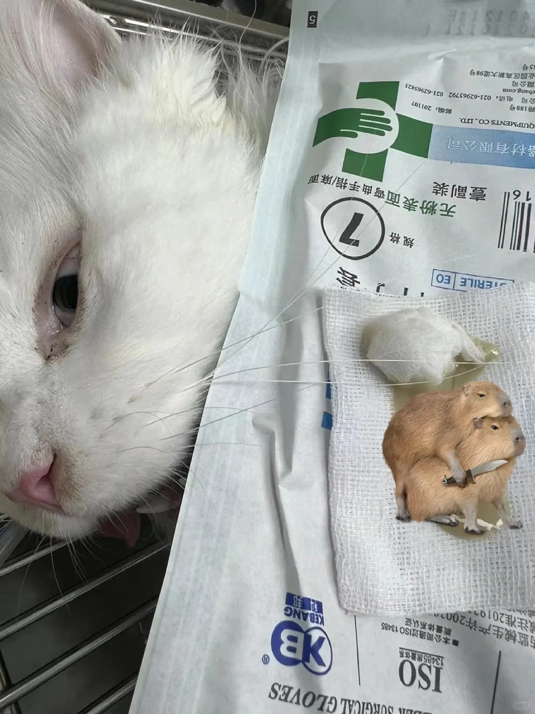 谁懂……鼻腔冲洗真的好爽啊🫰🏻