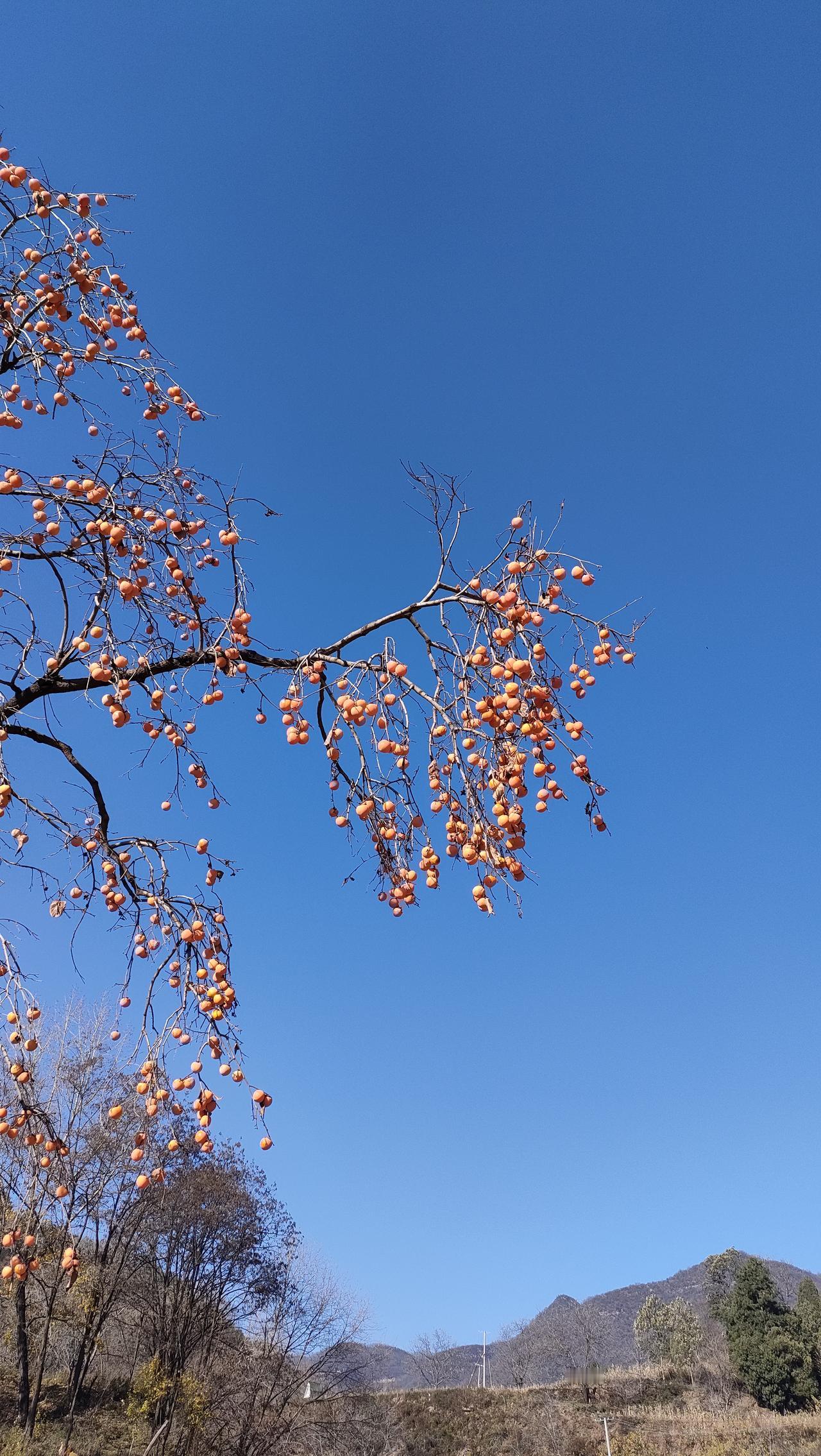 寒衣节在街囗集中烧纸钱，怎么保证亲人能收到？许多人都很疑惑，其实想多了，原来现在
