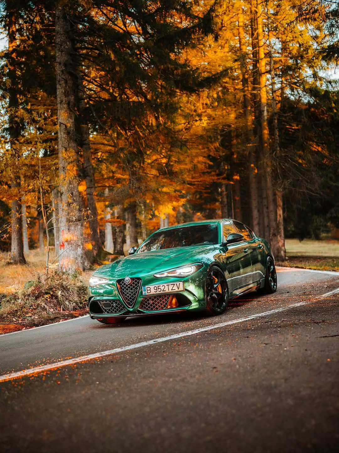 阿尔法·罗密欧 Giulia Quadrifoglio 