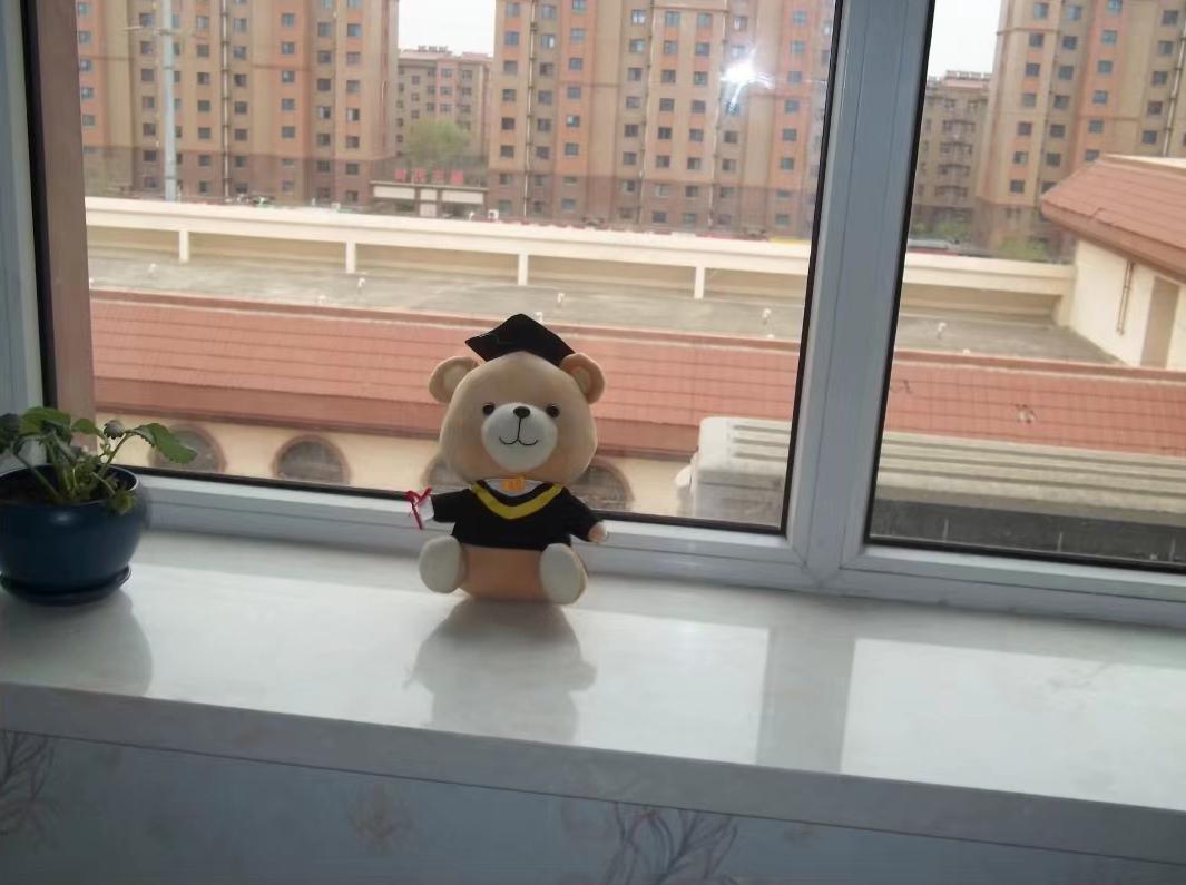 在闲鱼瞎逛，发现就这个破拍照手机值6700元？

还是个二手？是谁给它的勇气，就