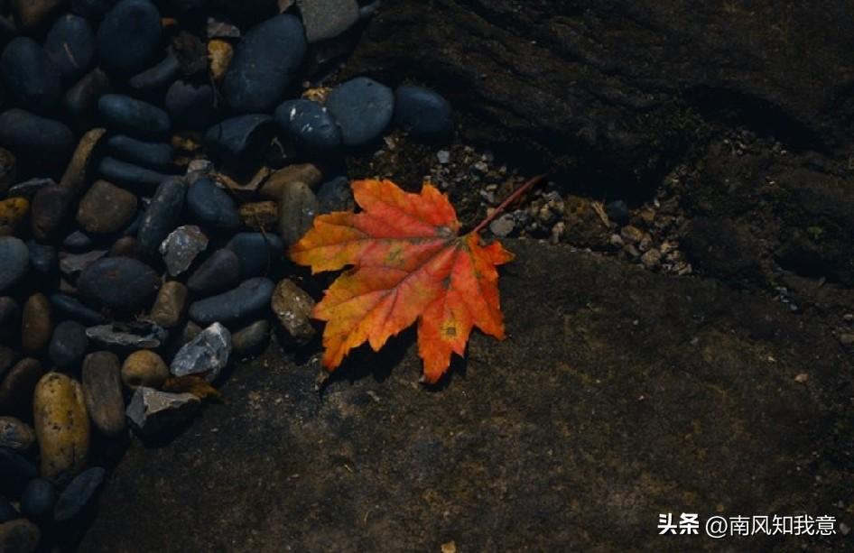 我曾独自披荆斩棘
熬过至暗低谷，走到现在
任何人都不是我的靠山
苦我独自咽下，委