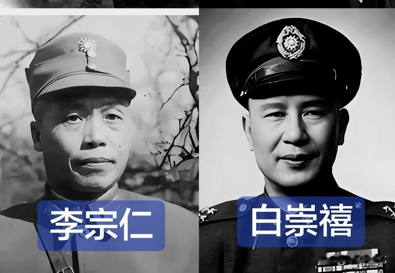 桂系军阀两大头目在民国政府举足轻重，长期占据权力中枢。国民党内部公认比较合理的评