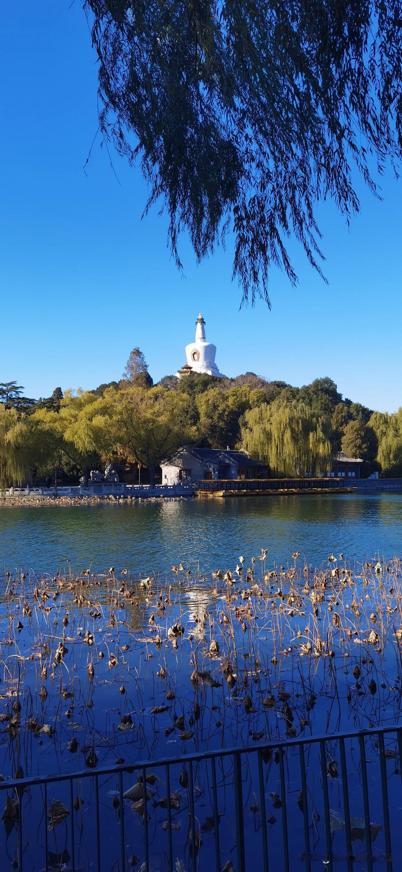 北京城的风光北海公园