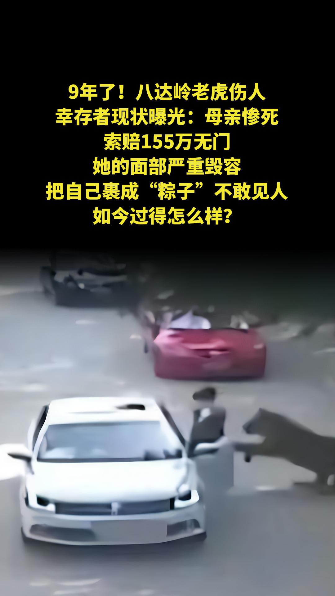 9年了！八达岭老虎伤人幸存者现状曝光：母亲惨死，索赔155万无门，她的...