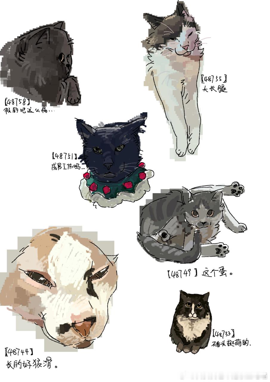 49438【丑猫卢浮宫 】测报你就发这个什么也不要说 