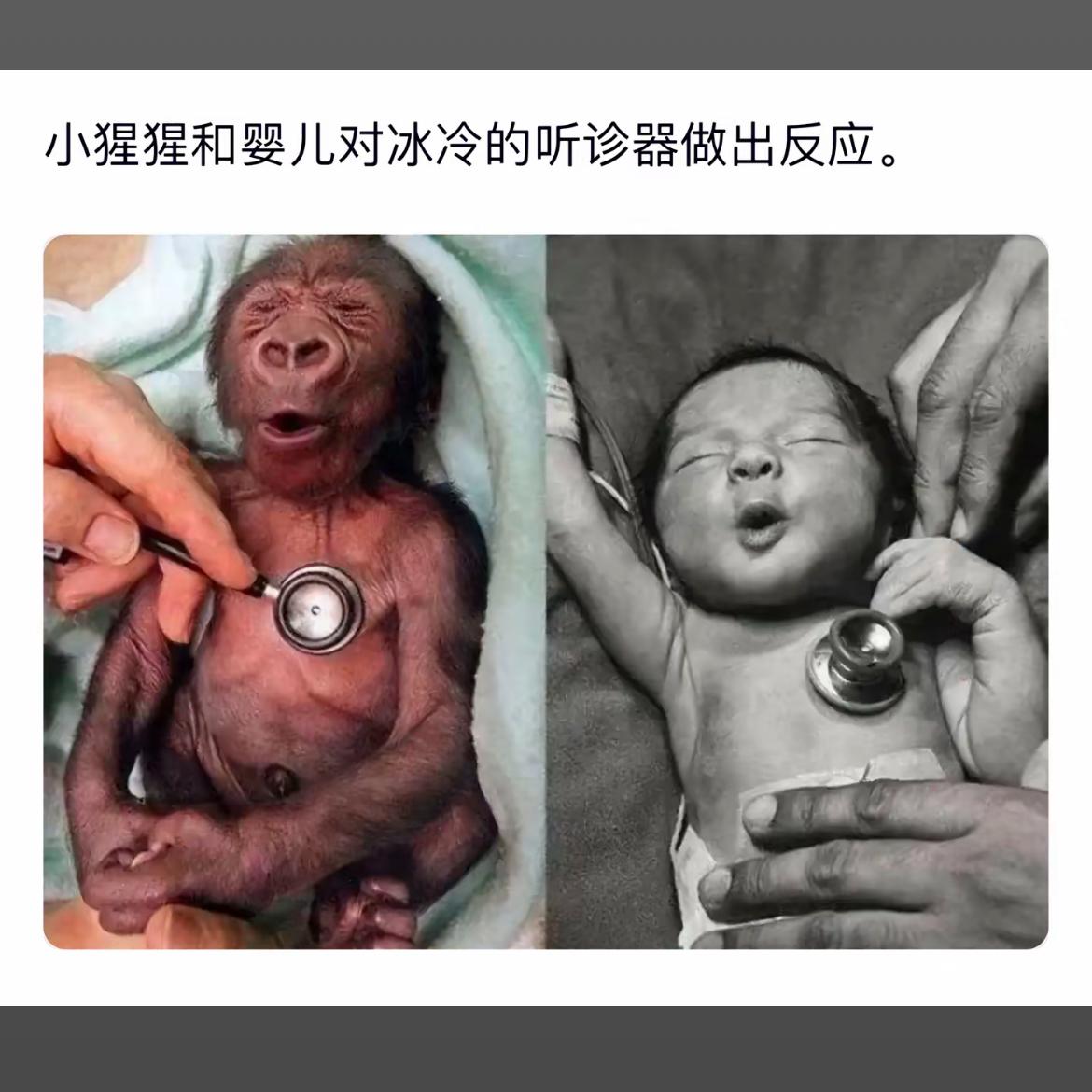 萌娃和小猩猩的可爱对比照，萌翻天啦！😍🐒👶🏻