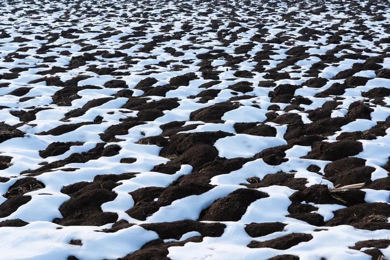 联：雨润良田五谷丰。接下联雪盖土地一白片