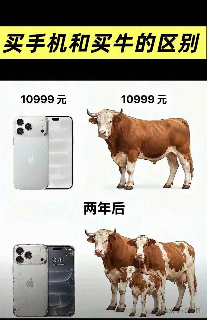 买手机和买牛的区别 By京红领 （分享自搜狐新闻App）  ​​​