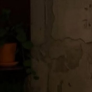 诚信是人间暖阳，藏在每一次守约、每一份真诚里。恪守本心，不欺不瞒，以阳光信用，走