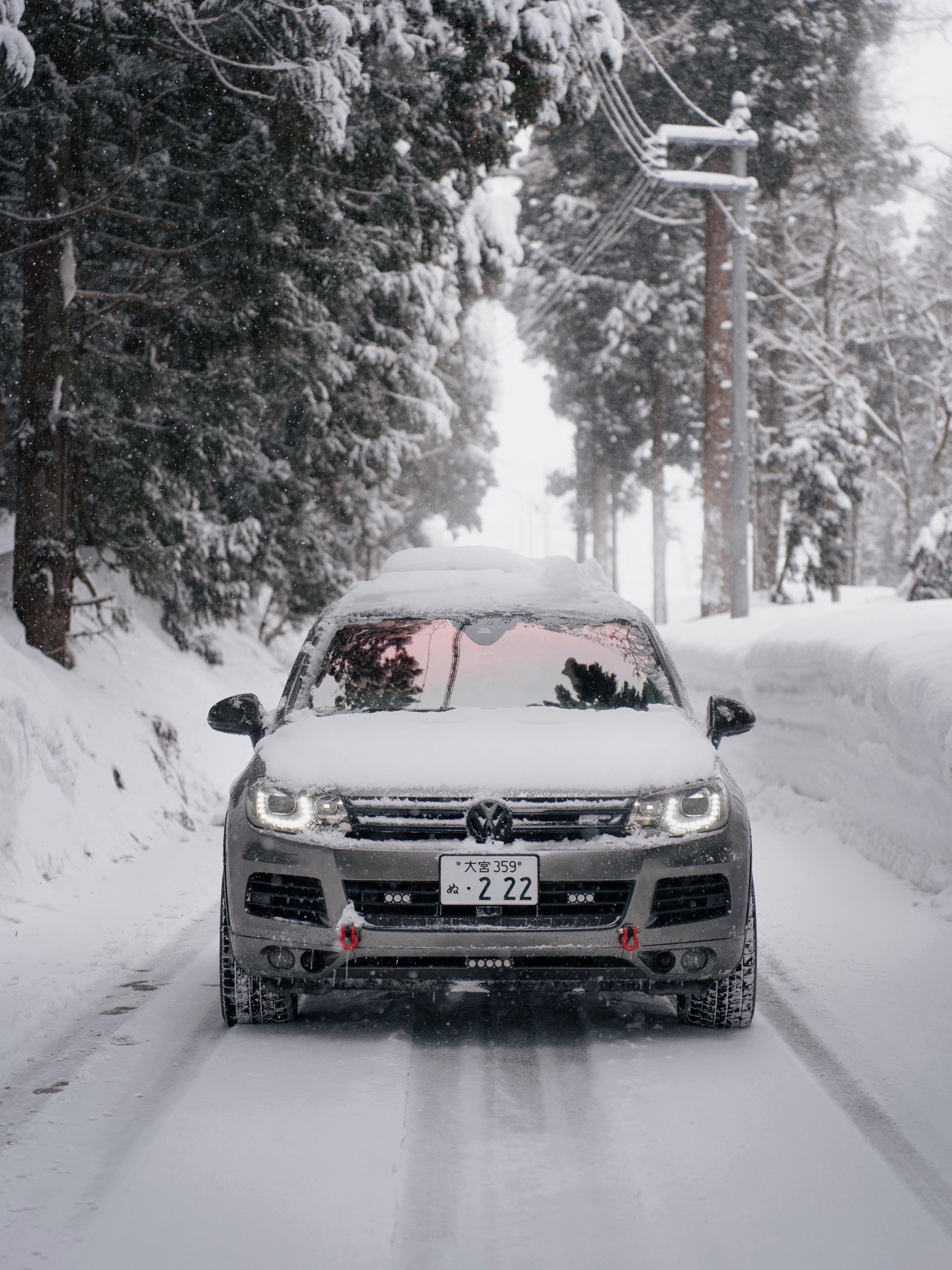 在雪地你可以完全信任它。