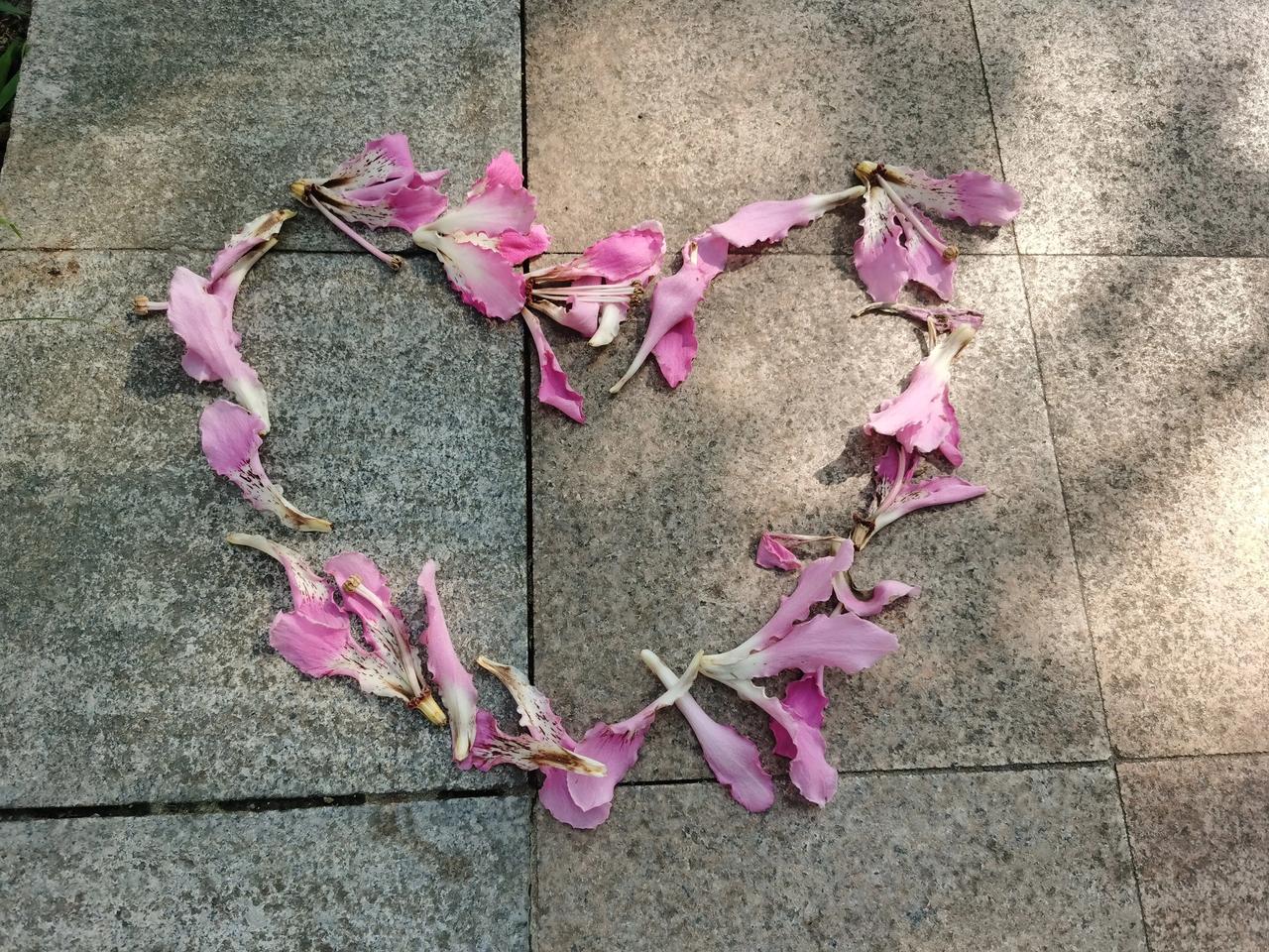 爱人先爱己！人生变化无常，我们能做到的是随时调整好自己的状态。

爱自己，先从健