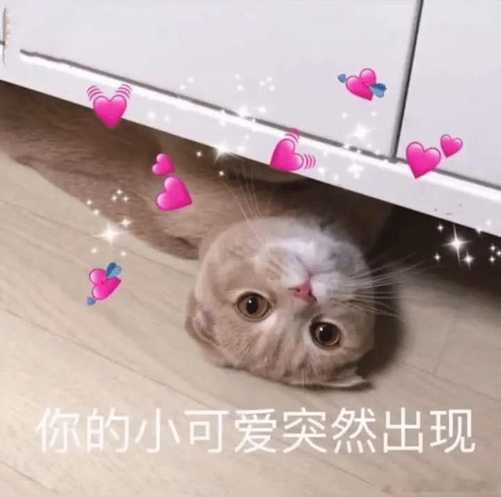 公认最会谈恋爱的3大星座：第一名：天秤不是手段多，是真的懂怎么让别人舒服。像穿了
