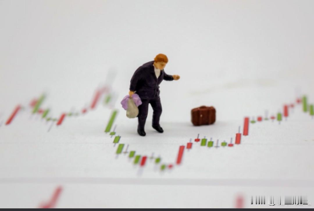 【A股今天】这可是一桩颇为严重的事件，仅仅出示警示函怕是远远不够吧！
11月3日