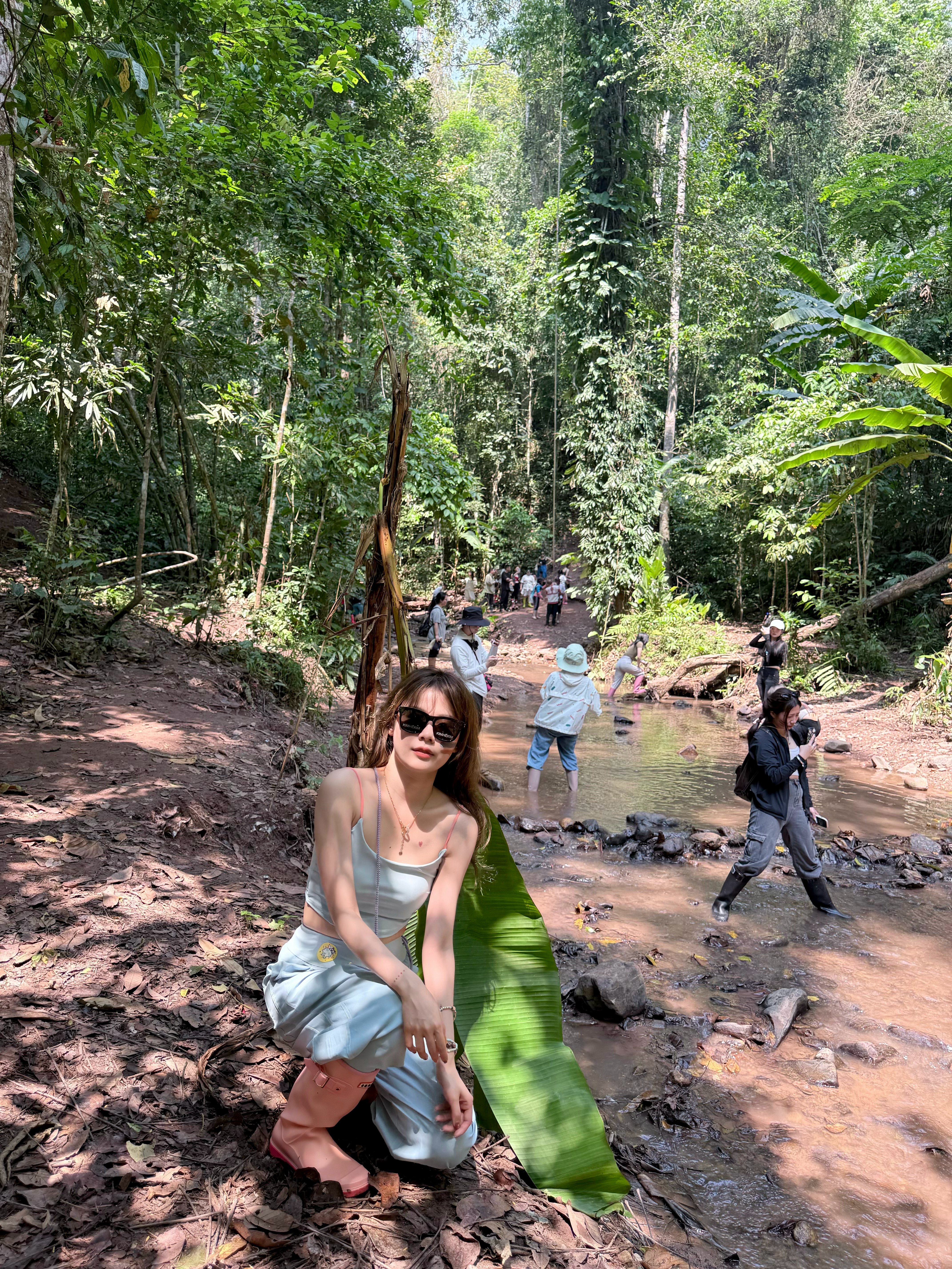 基诺山雨林徒步🌳 ​​​