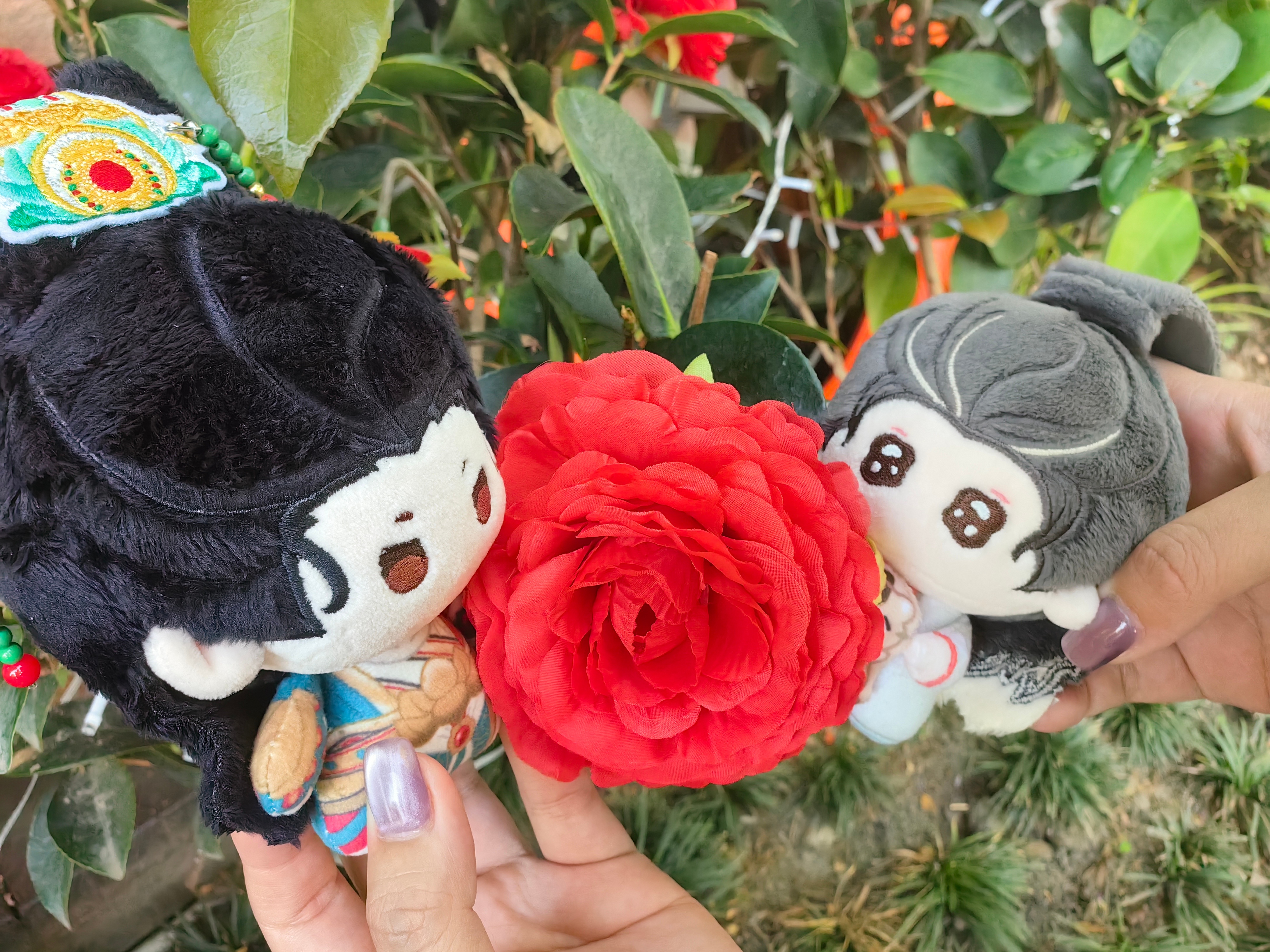 水龙吟唯一美帝 赏花时刻
