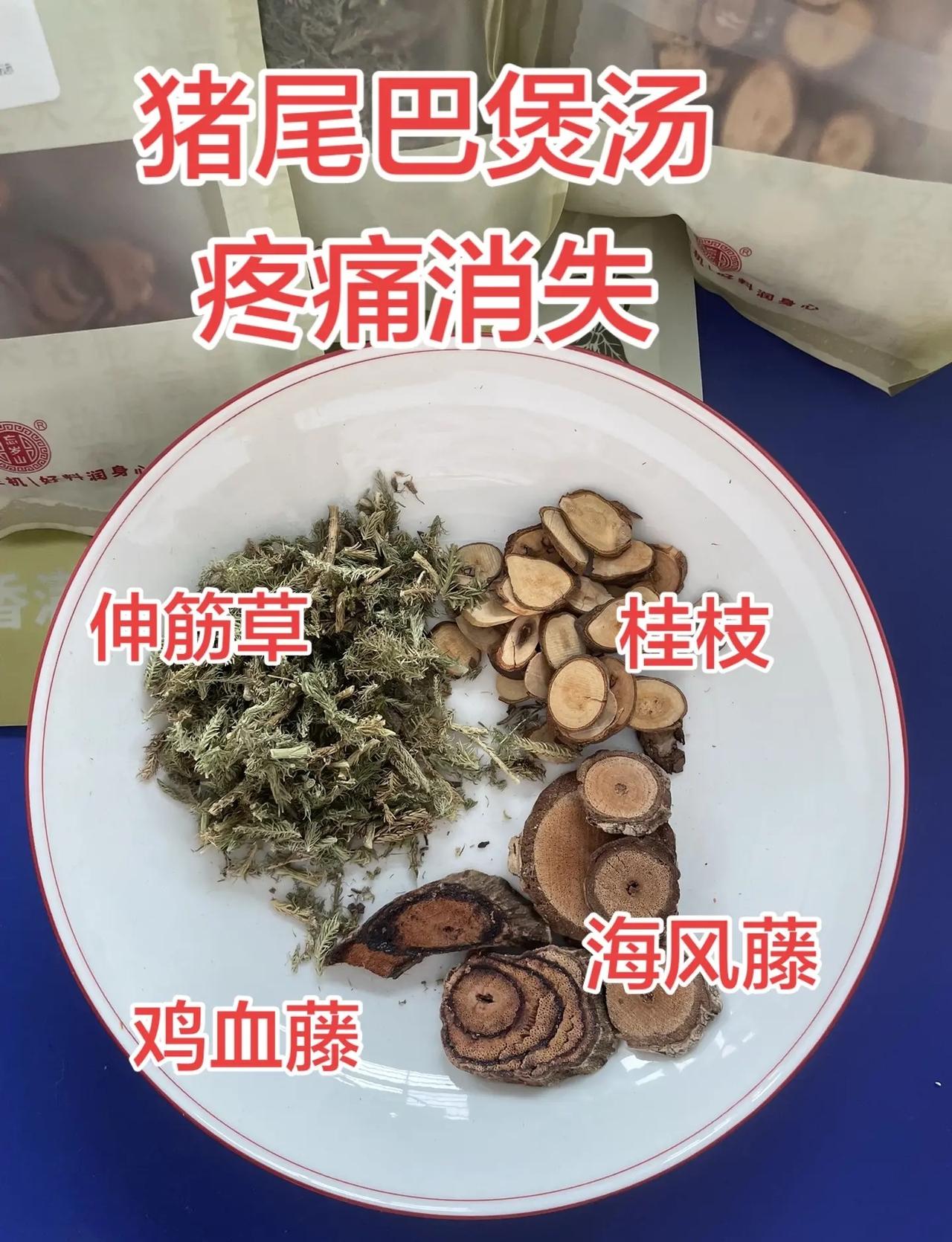 刚刚结束2025-2026赛季欧洲乒乓球俱乐部冠军联赛决赛！樊振东代表萨尔布吕肯