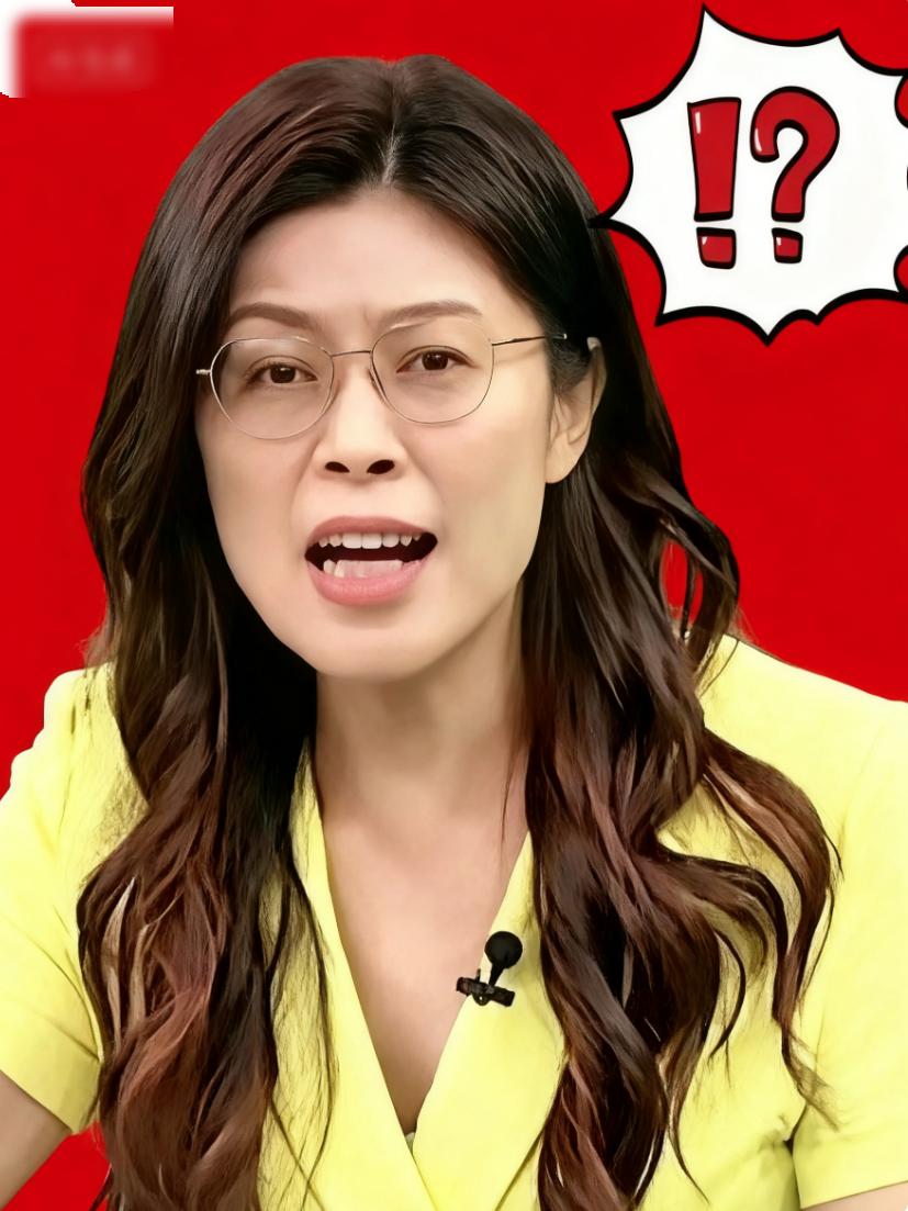 郑丽文把台湾史讲成一堂“晚到的家书”，让海峡这头的人听完心里一酸。  

她先摊