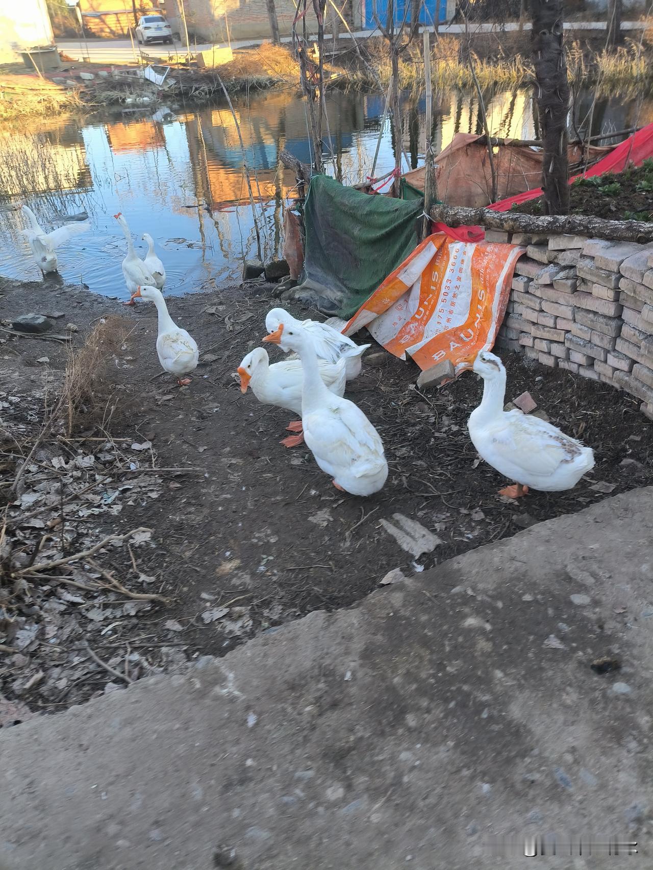 有负担的话往往言简意赅。
总是三言两语便能表达清晰。
比如：“车借给我去城里办点