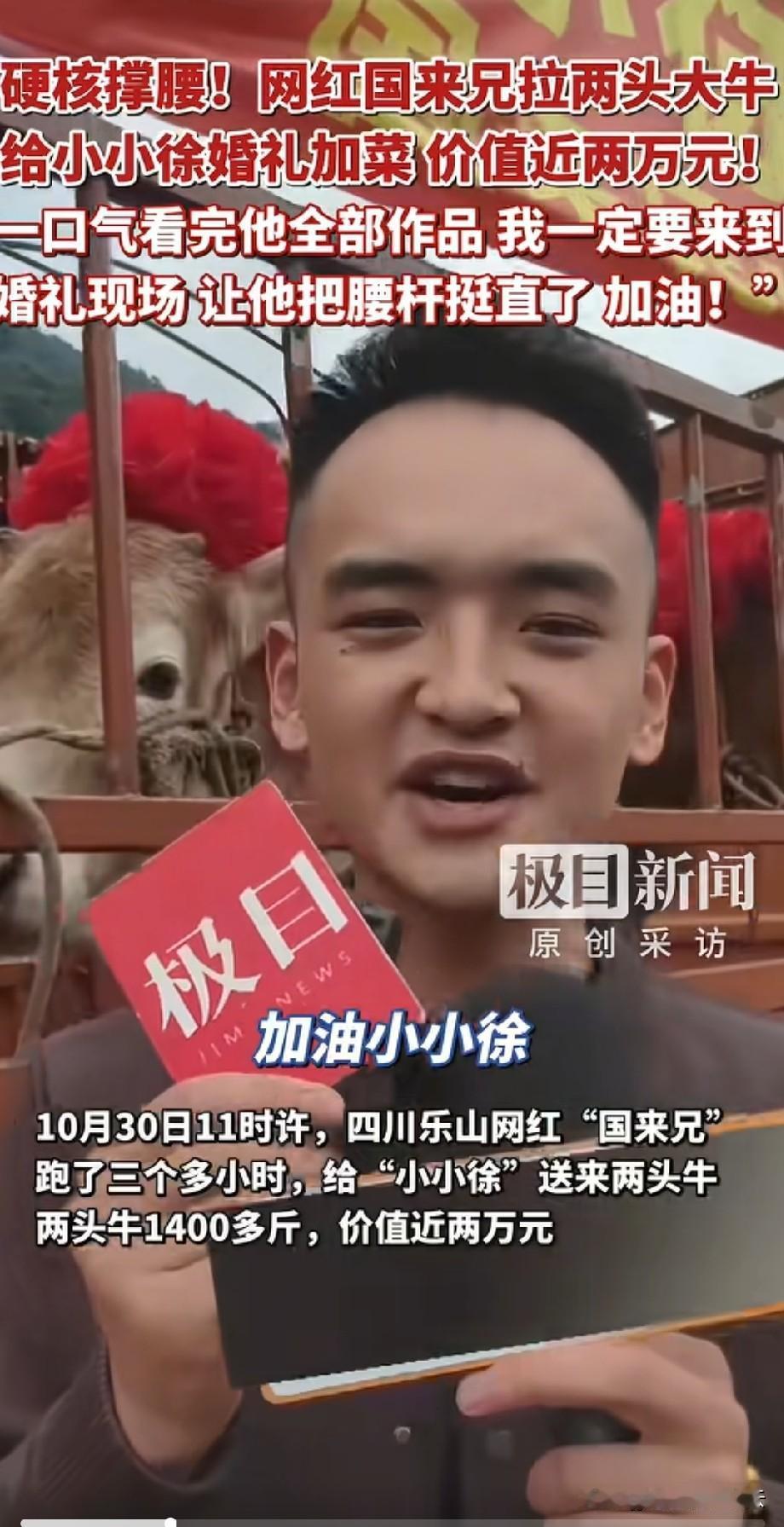 这个博主厉害了，给小小徐的婚宴上又加了好菜，他给小小徐直接送去了两头牛。婚宴上又
