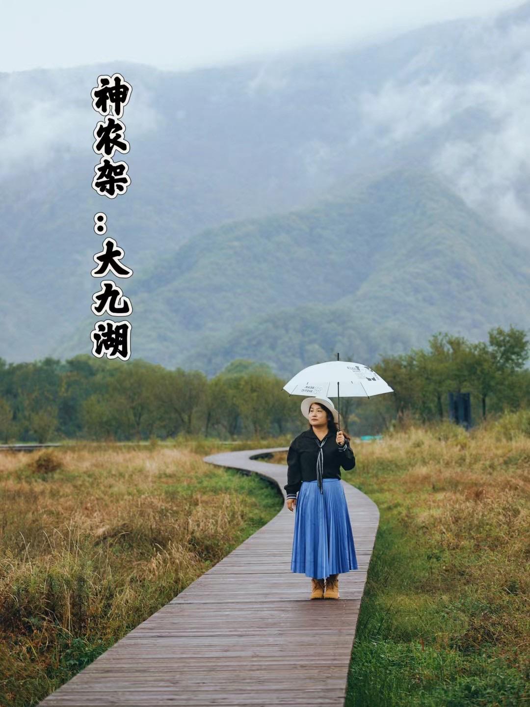 湖北神农架大九湖，此生必去。到了湖北神农架，一定要来大九湖。 大九湖一...