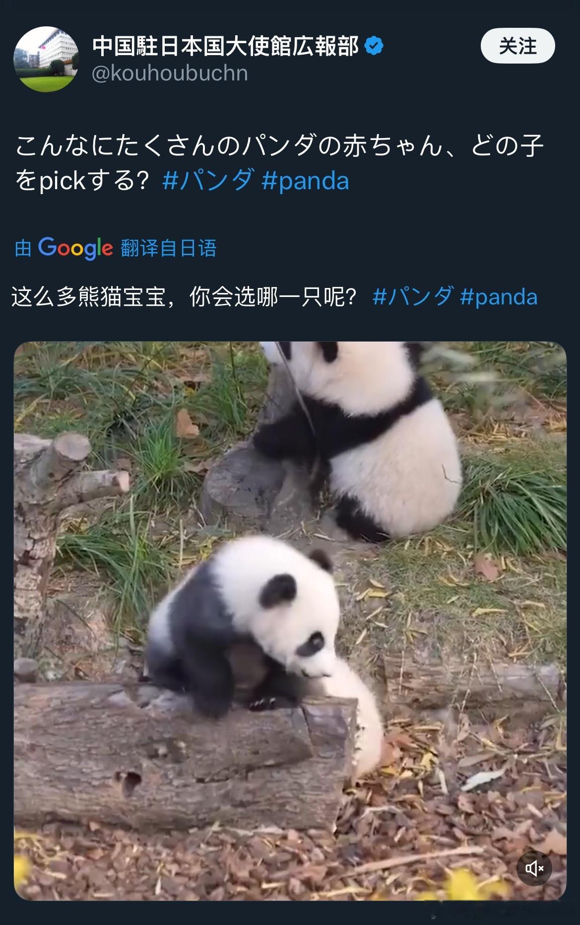 戳心窝了。他们有的选嘛