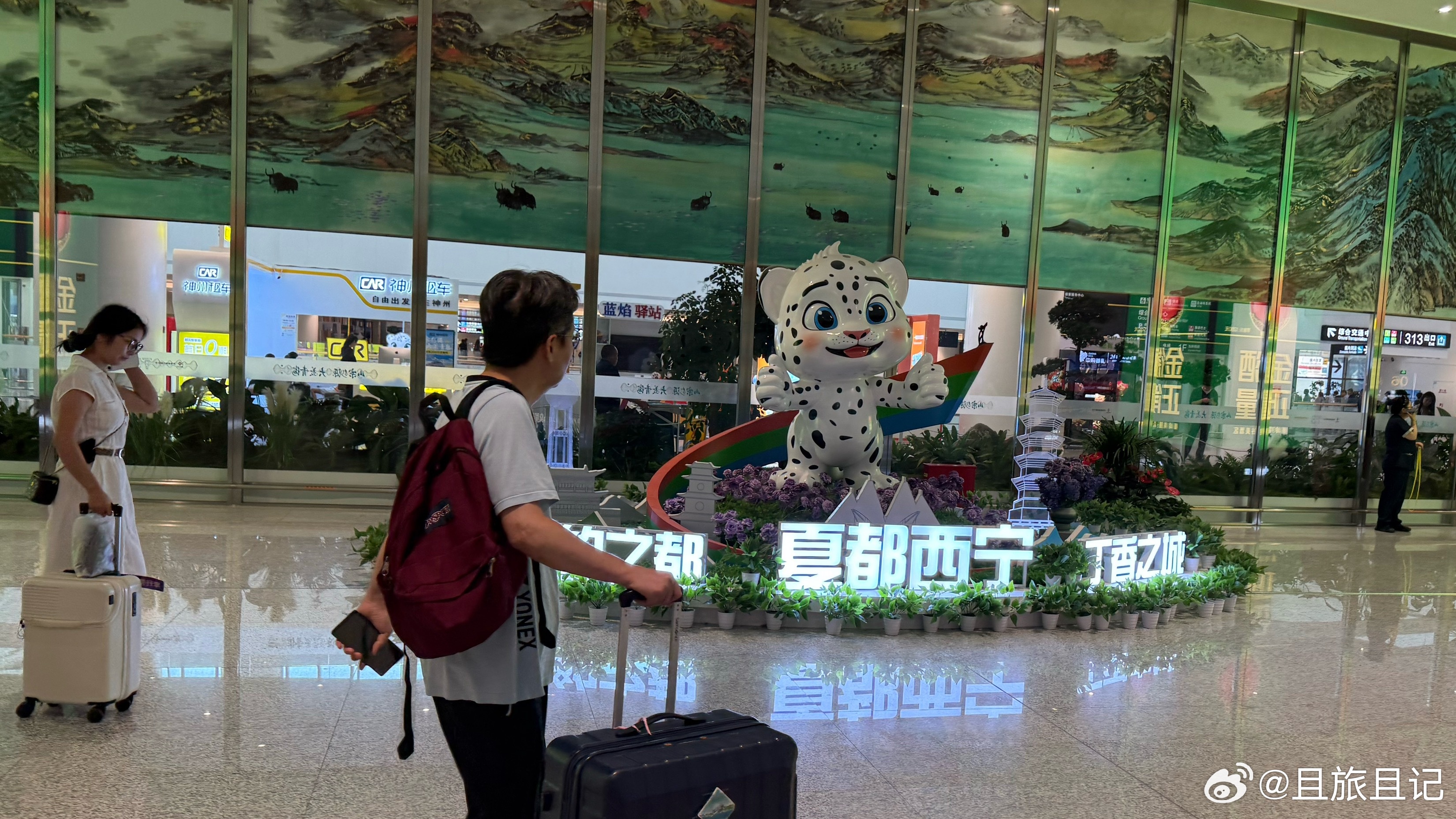 西宁曹家堡国际机场，西宁的吉祥物，雪豹。 海东·西宁曹家堡国际机场T2航站楼(国