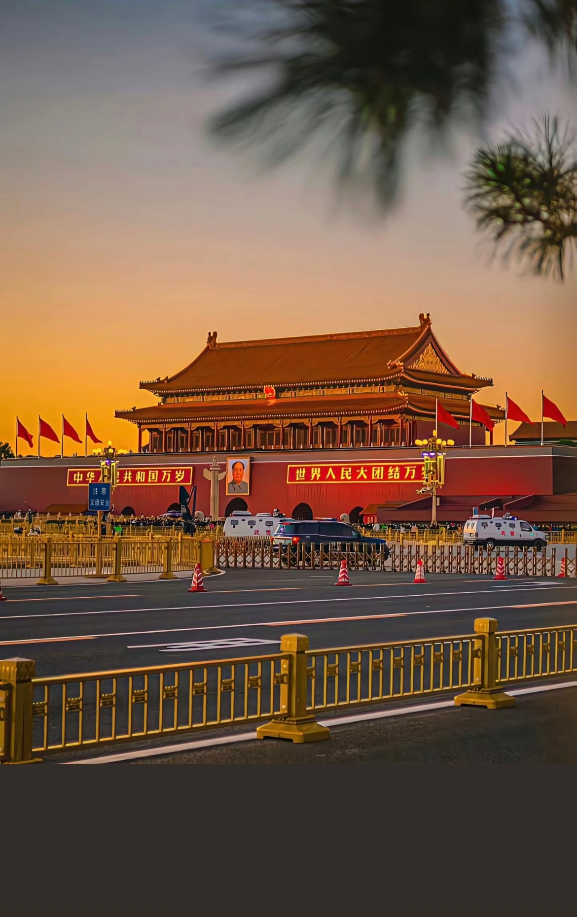 #法国小伙捐赠家人所拍日军侵华罪证#真相永远不会被掩盖！日本对中国所犯的罪行证据