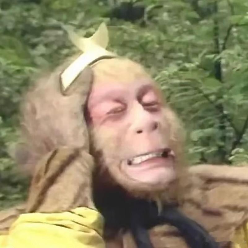 分享图片 ​​​