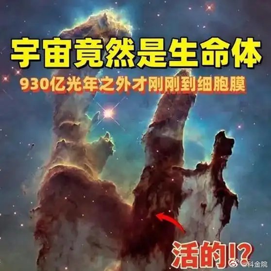 《种种绩效表明，宇宙竟然是生命体！》播放量：8529点赞量：148网页链接