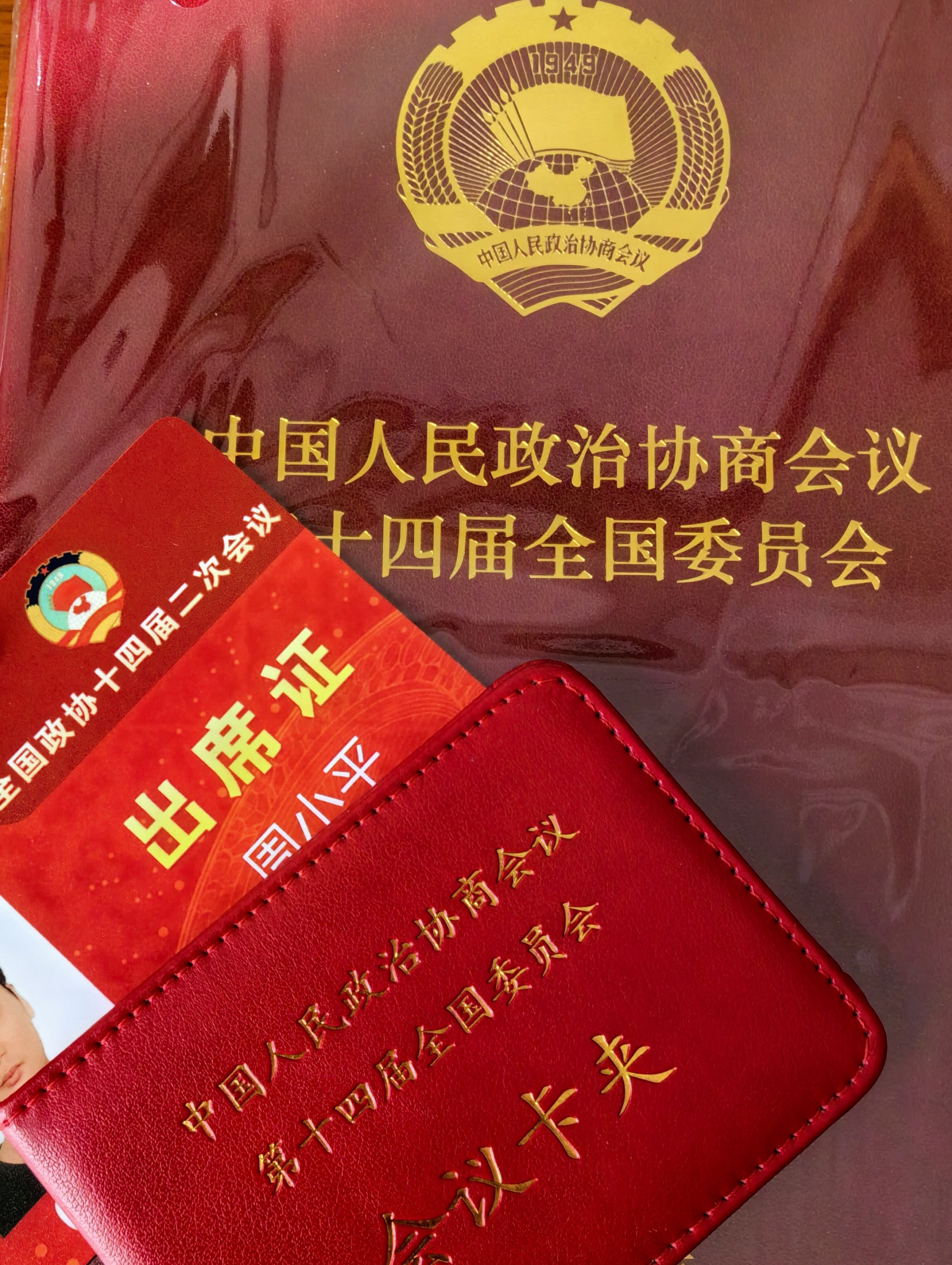 今年花了差不多三个月的时间，精心准备了一些提案，主要集中在就业、养老、传统文化和