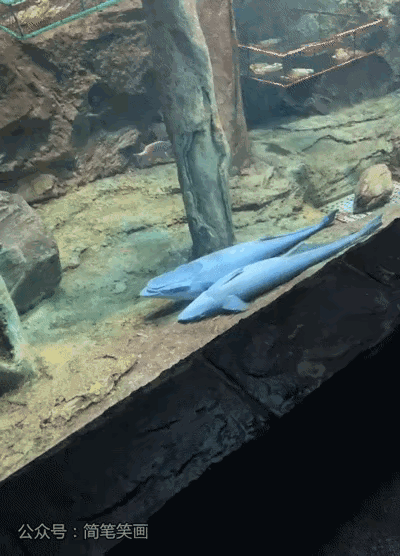 图一：这是谁干的啊？鱼儿招谁惹谁了，为什么非要踩上它一脚。
图二：就一个伴娘堵着