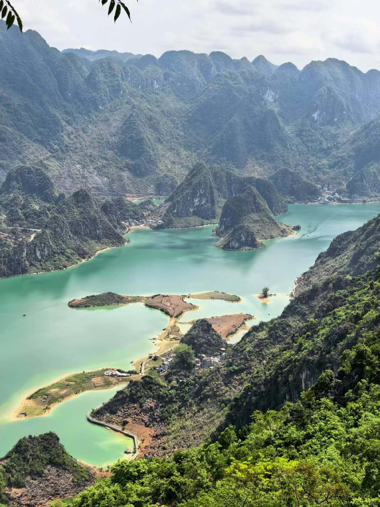 突然耳鸣，看了很多网友分享，应该是中年了，各种机能下降，神经衰弱，半个月前，耳朵