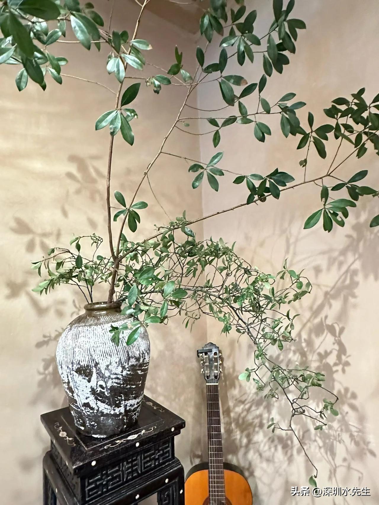 人总以为，好多东西是自己非有不可的。
 
可到头来才发现，大多都是自己给自己套上
