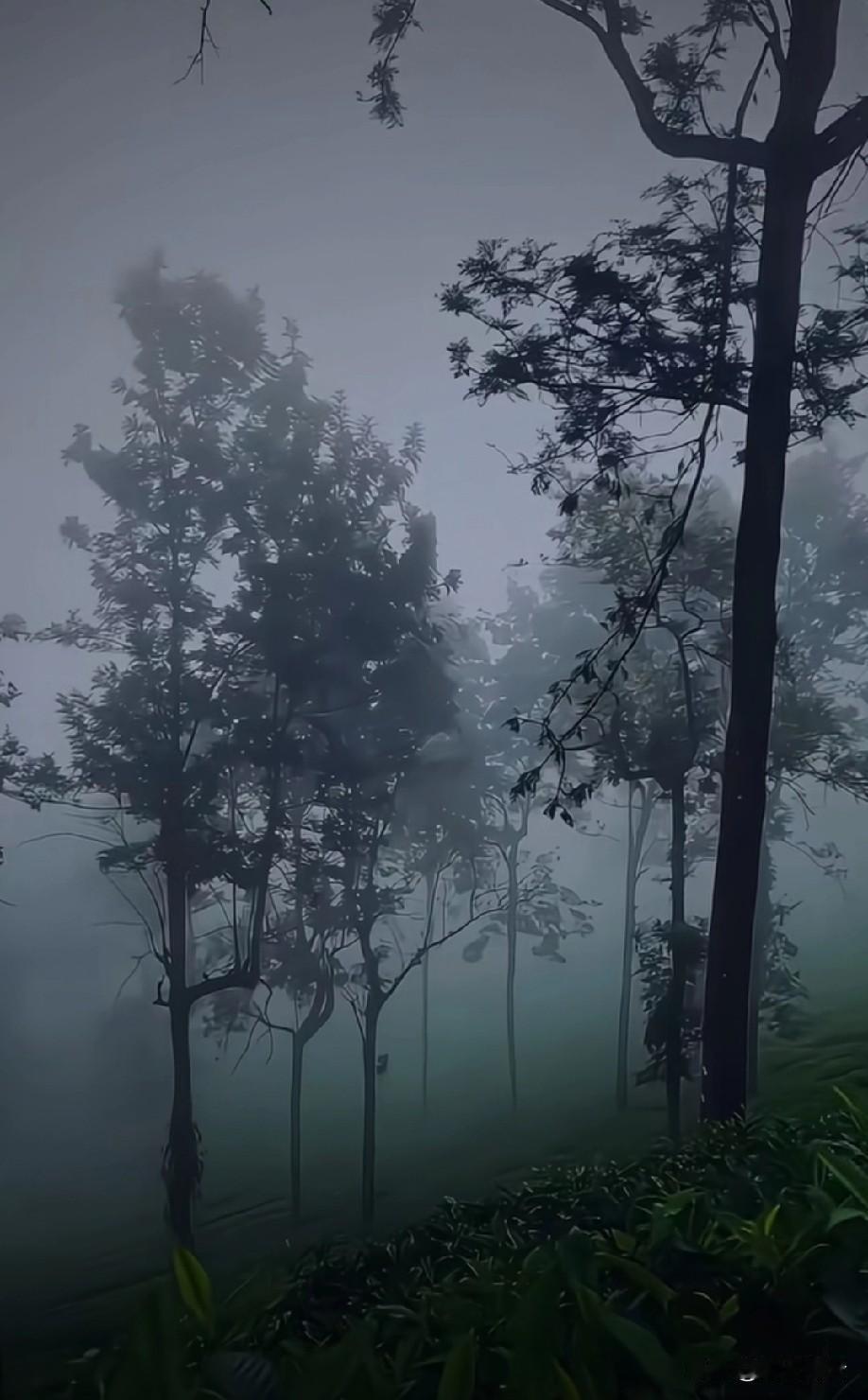 人这一辈子，说到底都是和自己的博弈。天生的性子、根深的习性，从来都是前行路上最难