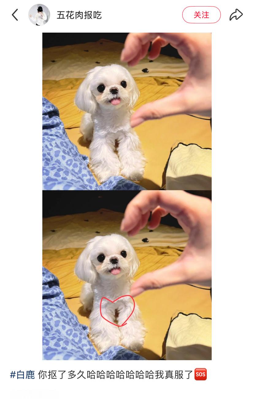 一想到白鹿下了班耐心都用来给太子梳理毛发比心还无人发现……[淡淡的][淡淡的] 