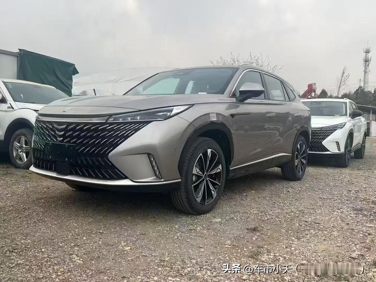 预计明年市面上会出现很多包牌过户的新能源车，因为明年不仅新能源要缴纳50%的购置