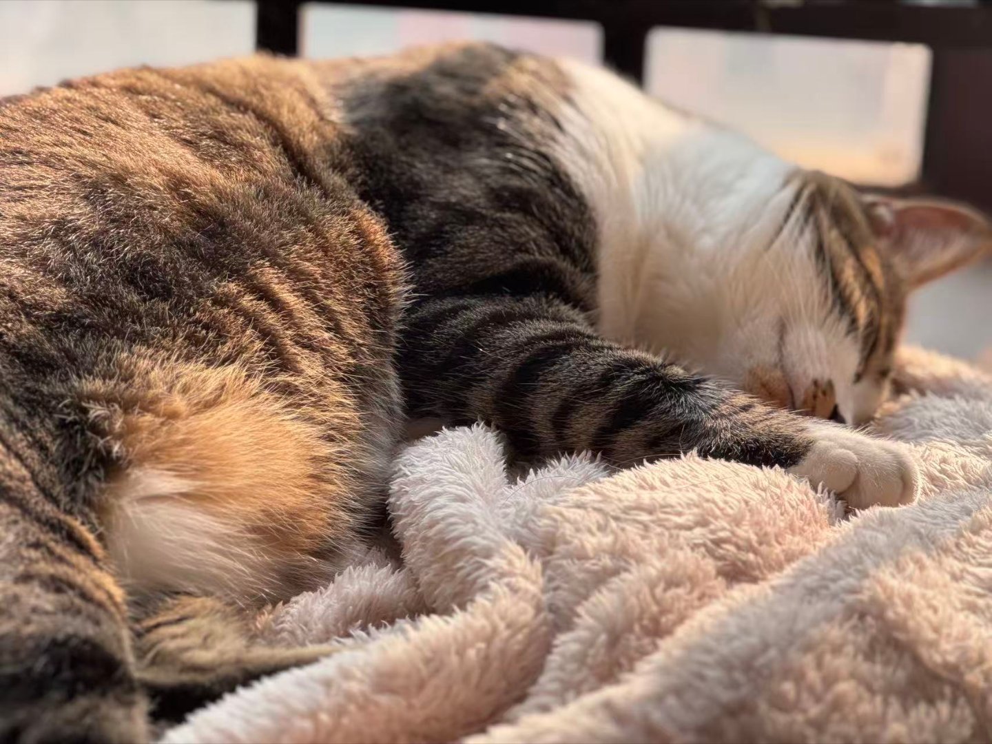 签到签到签到明天再干一天           