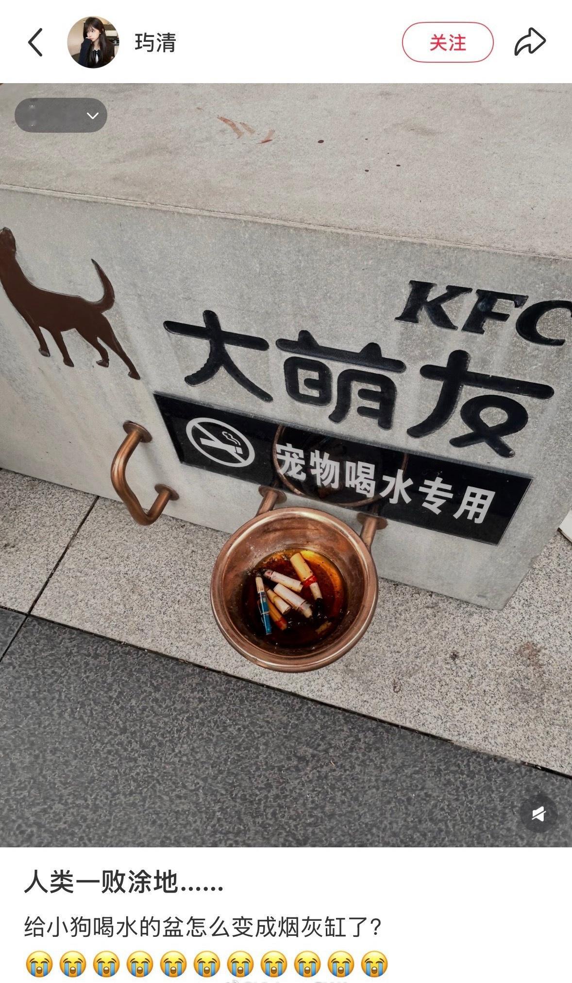 宠物喝水专用，第一眼还以为是谁放的狗粮… 