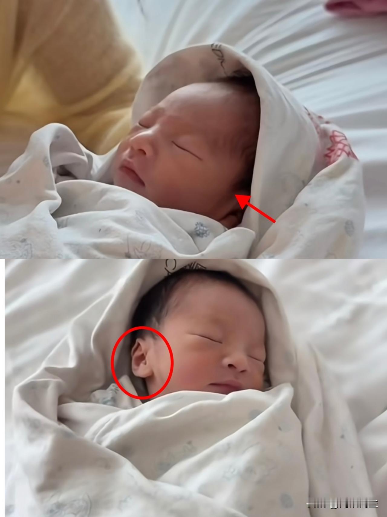 这投胎的技术，
真是让人不服不行！

第一眼看到那两个大耳垂子，厚实得太抢镜了，