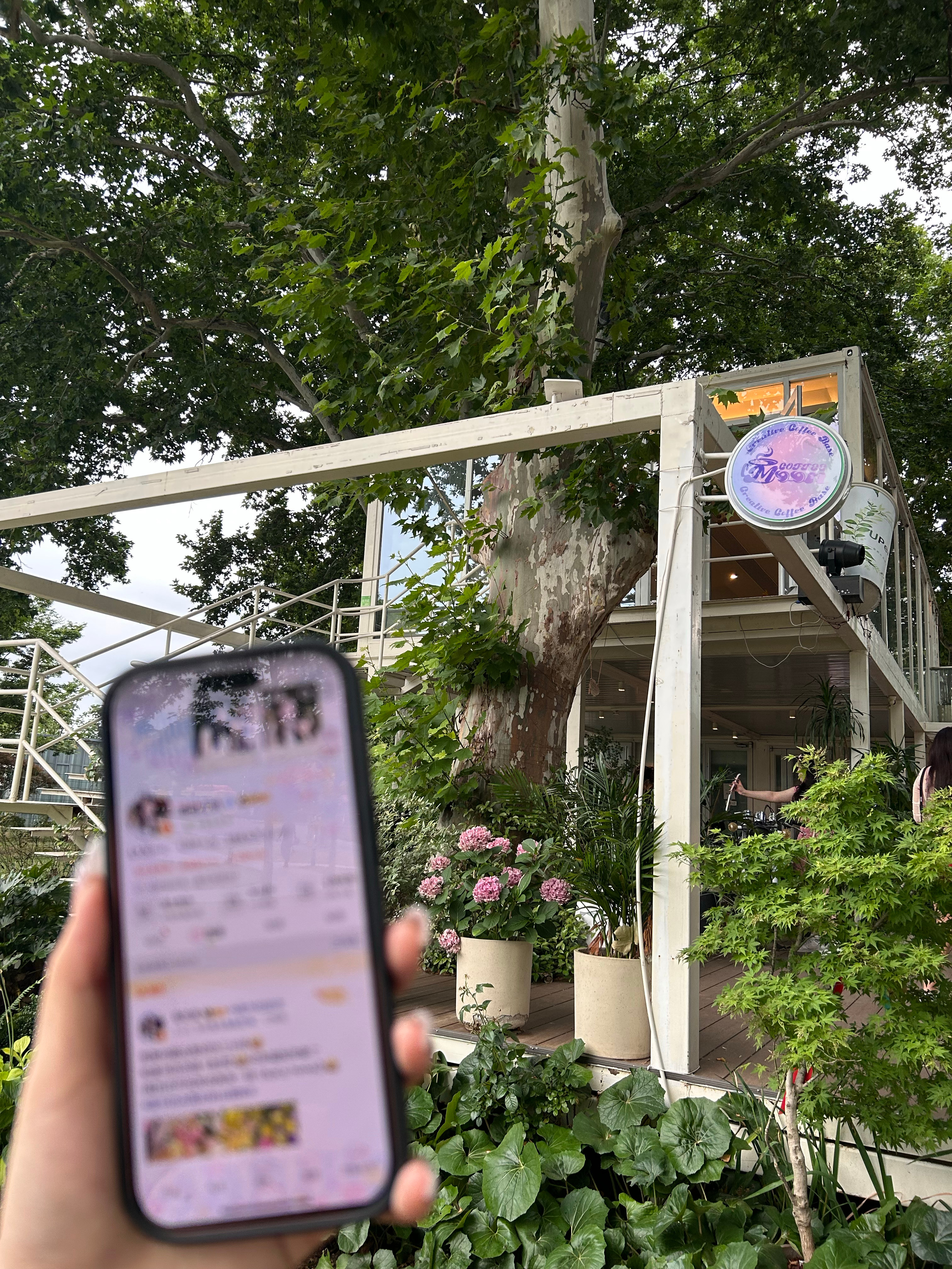 云打卡姜暮moon🌙咖啡店☕️夏天到了很适合重刷虞书欣双轨虞书欣姜暮