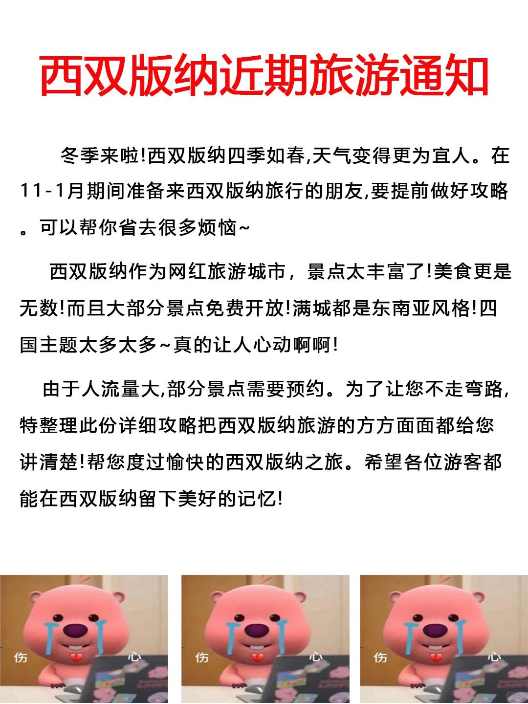 冬季去西双版纳的姐妹，没有刷到我会很难过