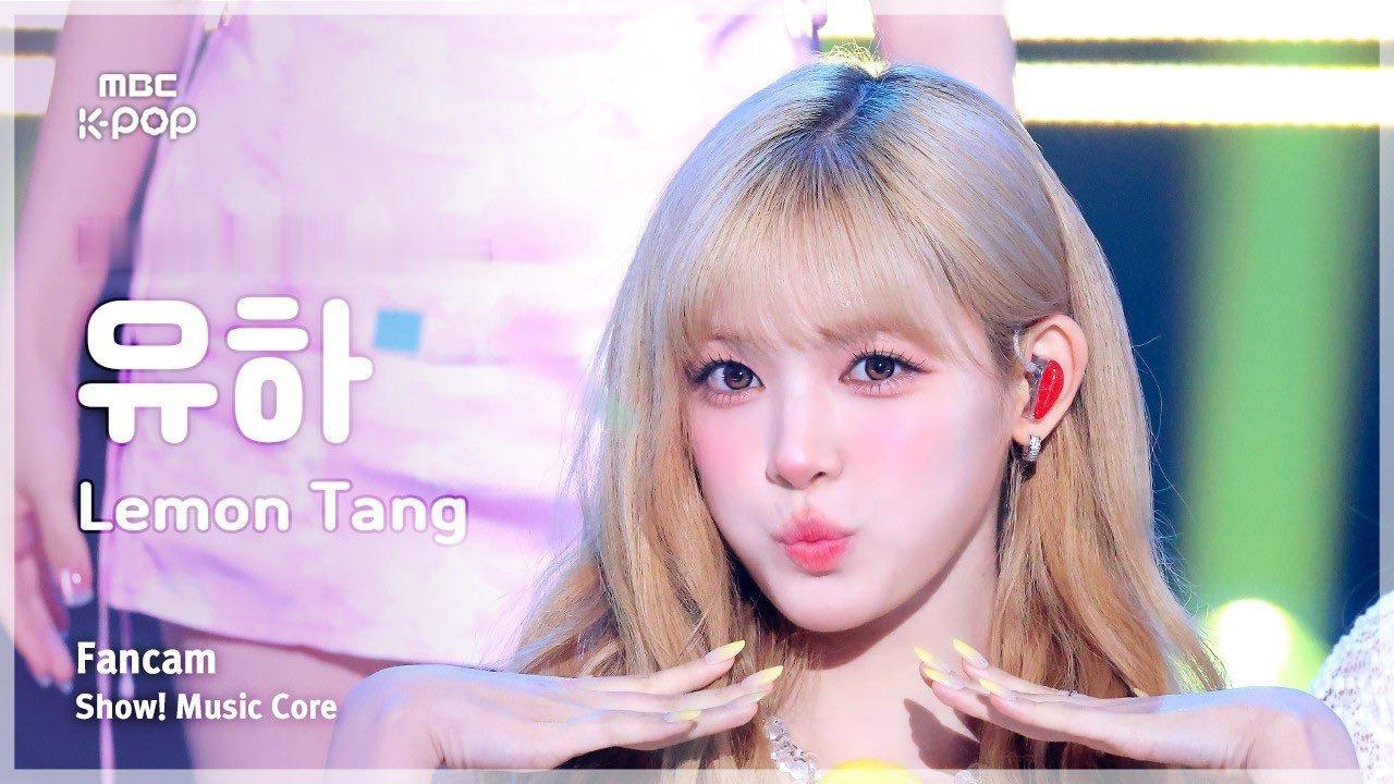 世界最萌小兔🐰 