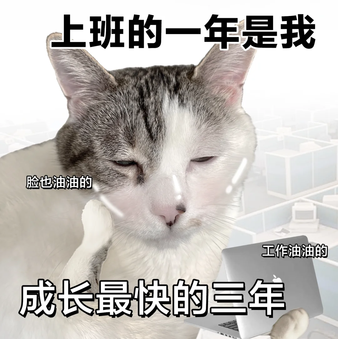 表情包 | 对工作祛魅了，已老鼠