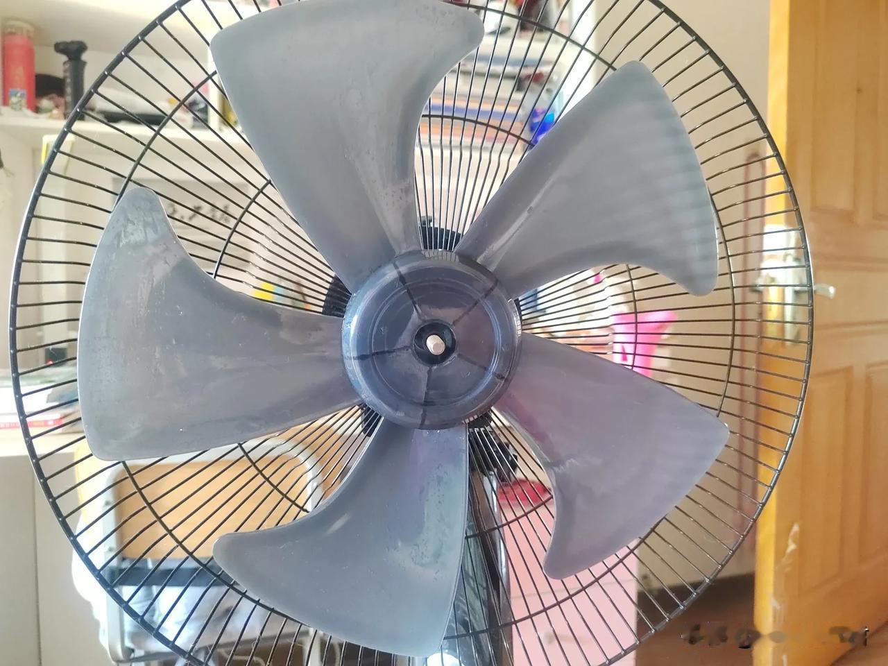 这《借命而生》原著我读过，本身就很精彩。小说里的刘芬芳名很美，人却没那么美。与杜