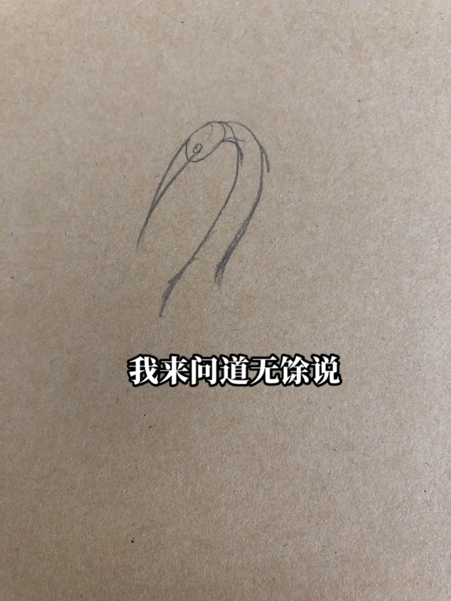 嘉靖朱厚熜。大明画画