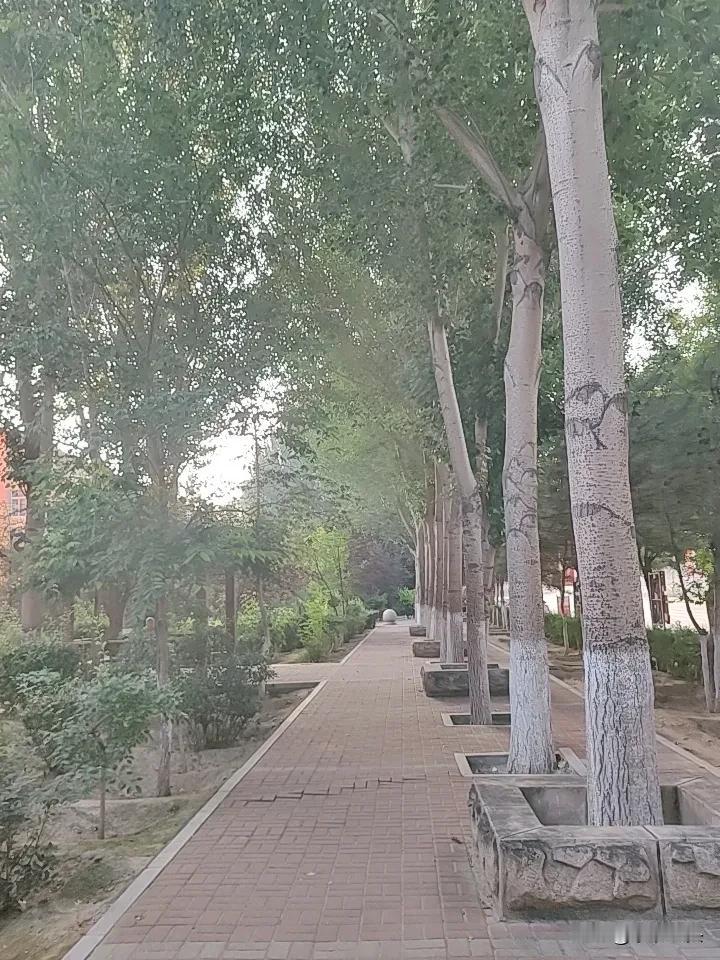 床上无性，
床下无话，
形同陌路，
感叹人生。
这是大多数老友们经历，
老夫妻过