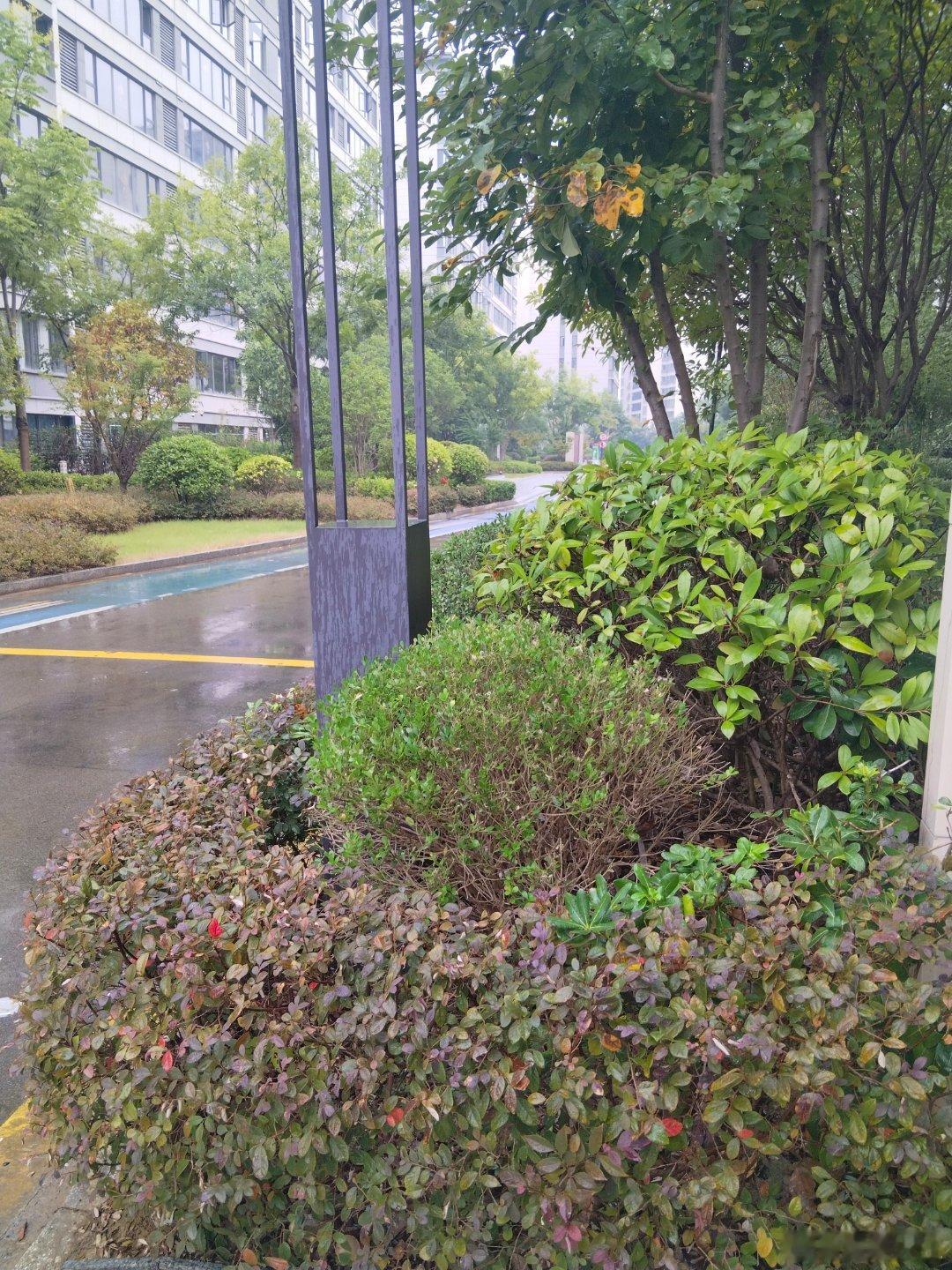 真是一场秋雨一场寒，早上起来明显感觉到冷了，骑车要穿外套了。我们同事还开空调，我