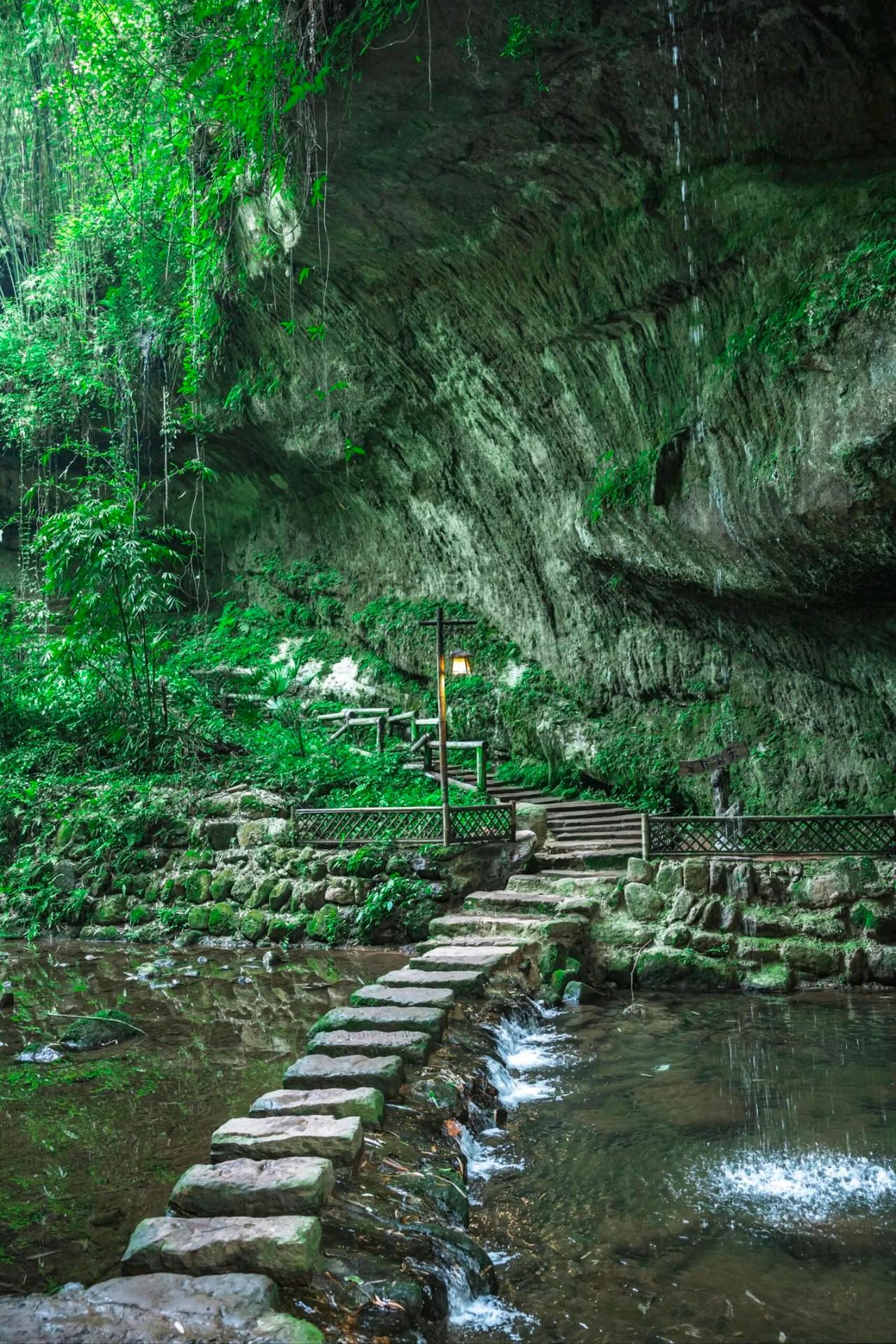 分享城市新鲜事 成都周边隐匿着一处“洗肺秘境”，3小时即可直达，竹海深处蕴含着都