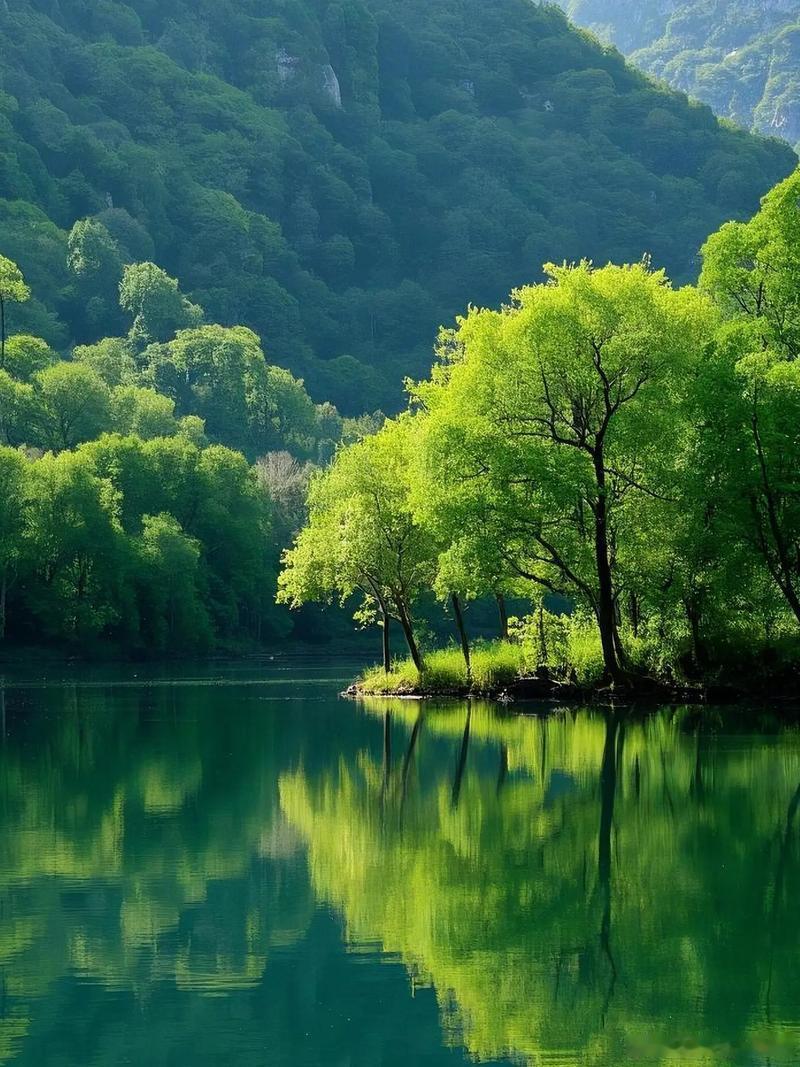 壁纸 满目清翠浸湖面，山林藏尽温柔，一汪静水把整片山野的绿意妥帖收藏，暂避人间喧